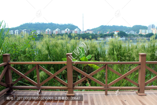 公園景觀