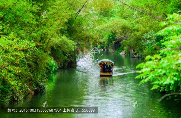 竹林