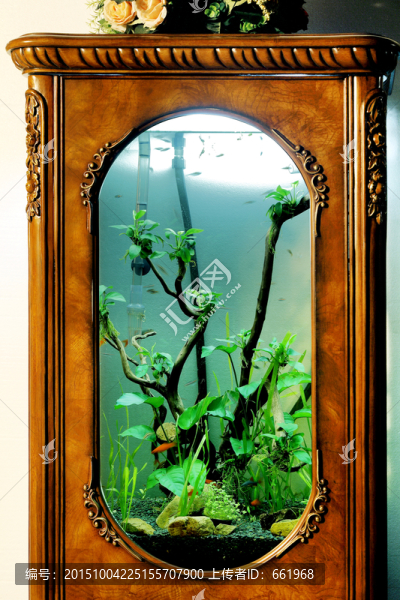魚缸特寫,美式鄉(xiāng)村家具