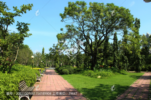 公園景觀