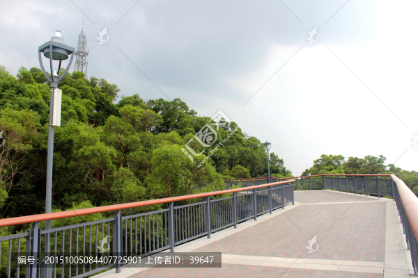金雞山公園