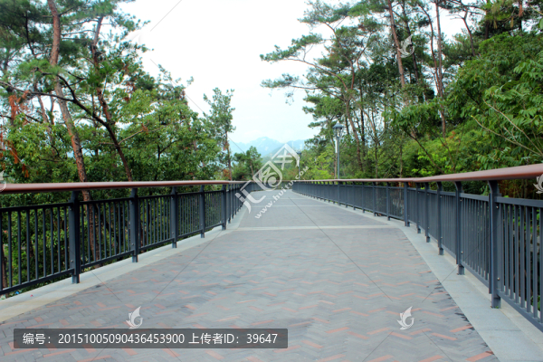 金雞山公園