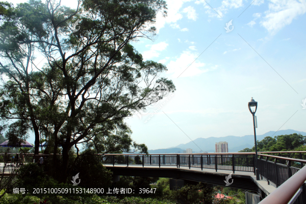 金雞山公園