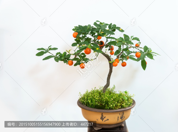 園林園藝