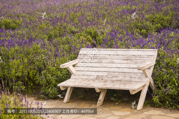 長(zhǎng)椅