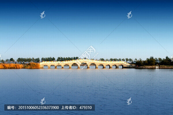 大慶,濕地