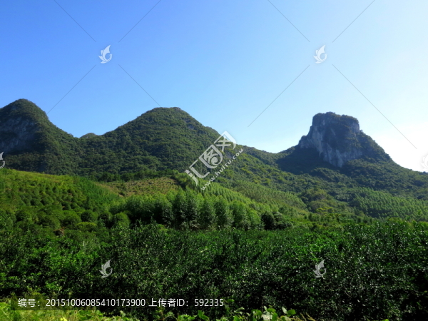 高山