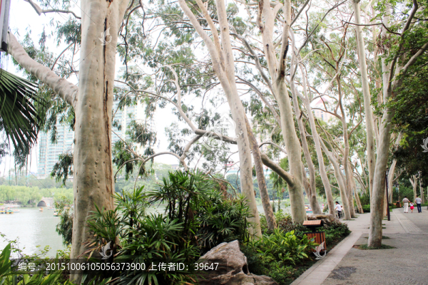 福州西湖公園