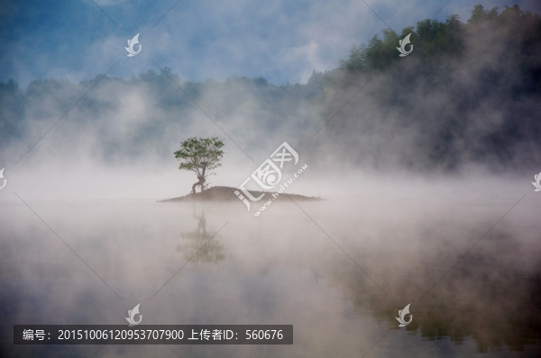 晨霧