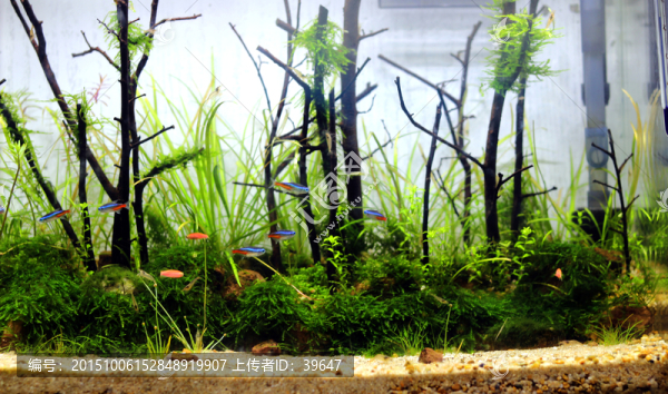 水族館
