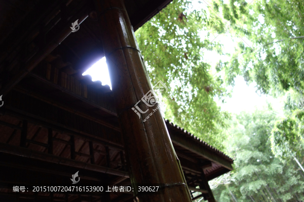 竹林小景,竹亭,樹林