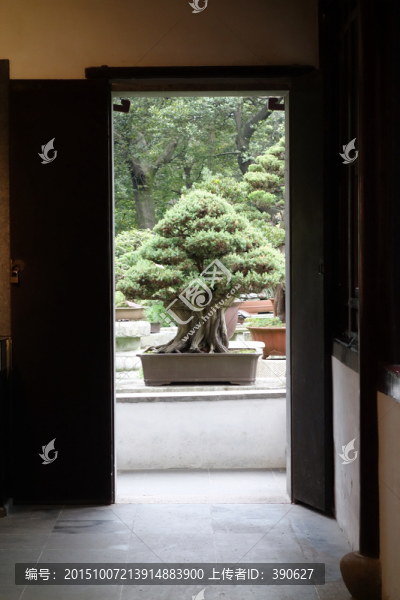 盆景