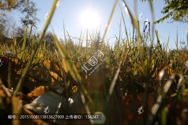 扎煤賓館門(mén)前綠地