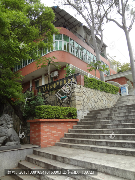 廈大