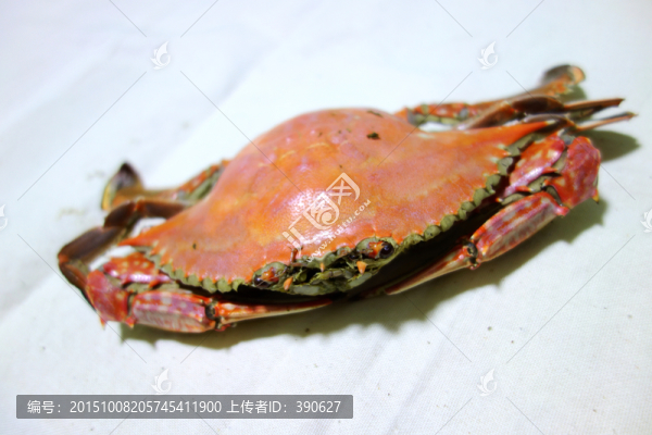 螃蟹