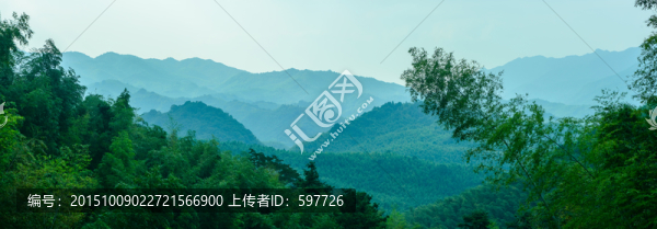 溪頭村竹海群山全景