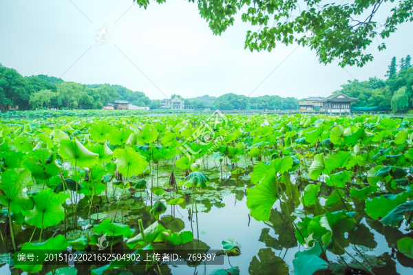 杭州西湖