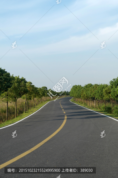 大路