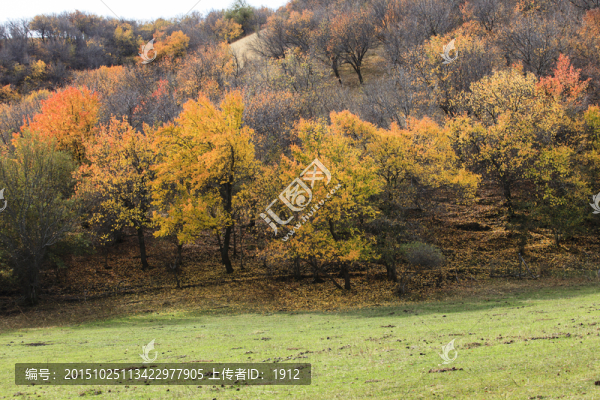 山野秋色
