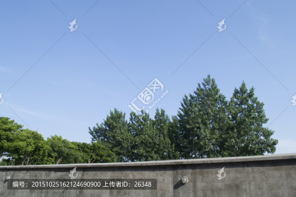 樹木
