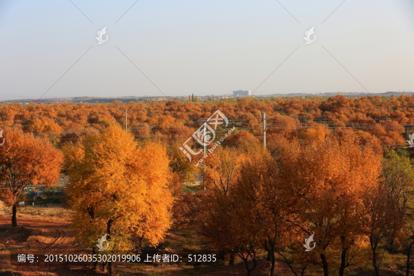 高原秋色