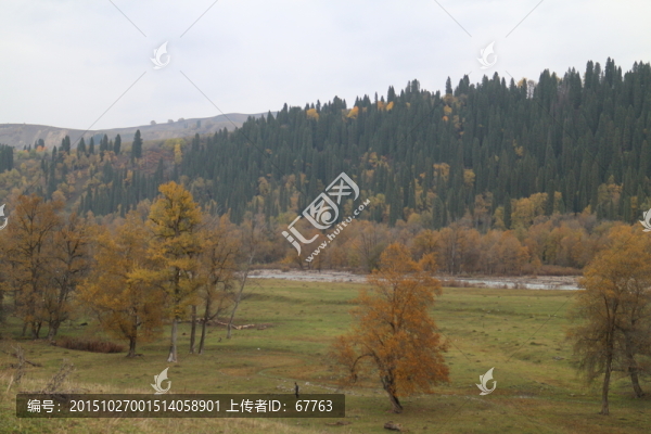 金秋山林