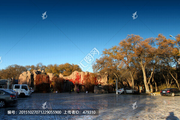 城市深林,公園