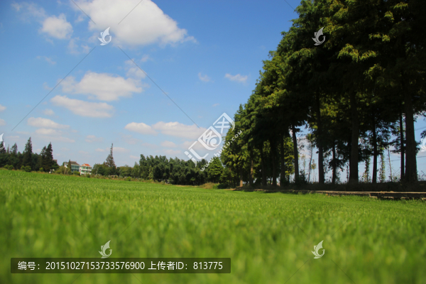 清新的鄉(xiāng)村美景