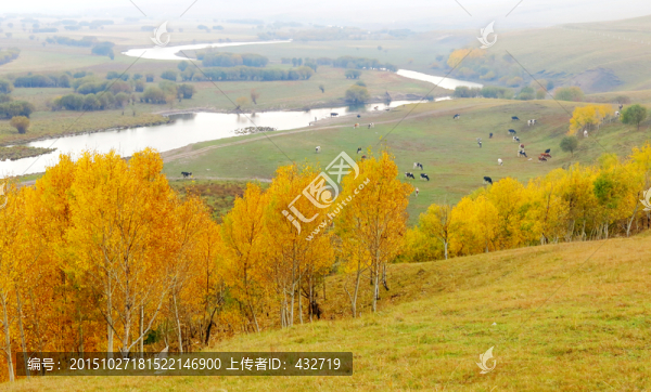 秋季濕地牧場