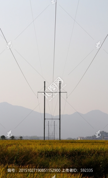 電力