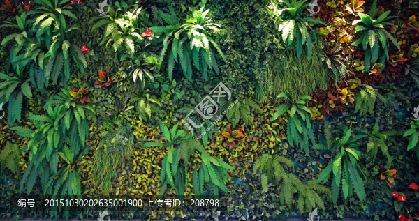 植物墻