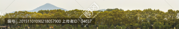 秋日樹木全景（超大尺寸）