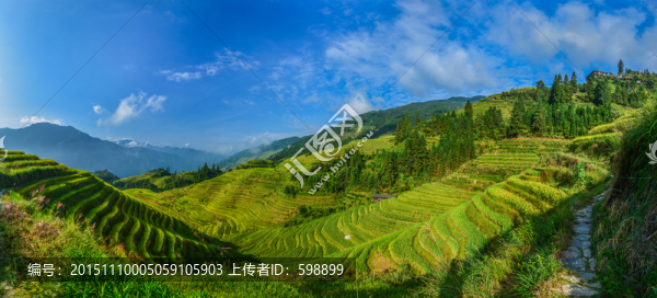 寬幅梯田拼接風(fēng)景