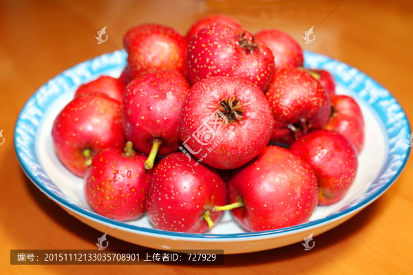 山楂,山楂果