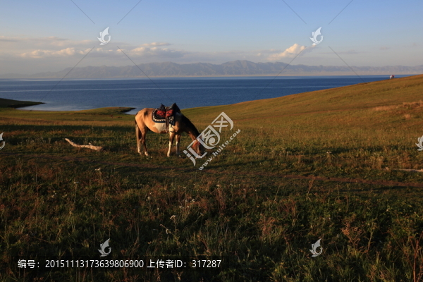 賽里木湖畔