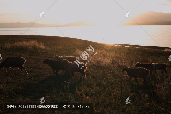 賽里木湖畔