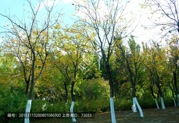 秋景