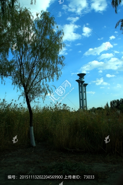 藍(lán)天,,樹(shù)木
