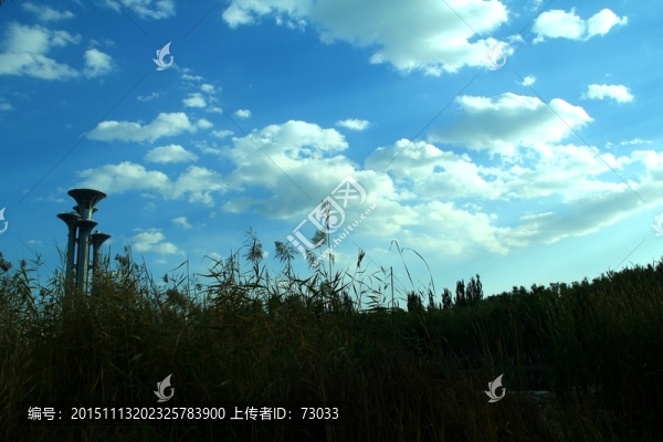蘆葦蕩