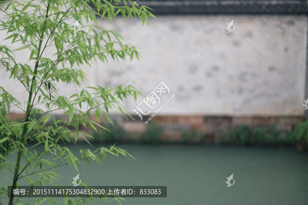 庭院