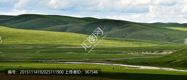 草原風(fēng)光
