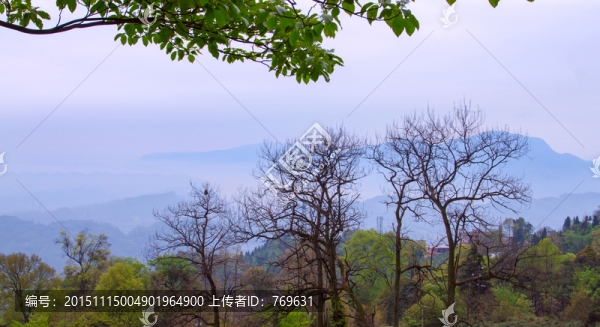 蒙頂山上