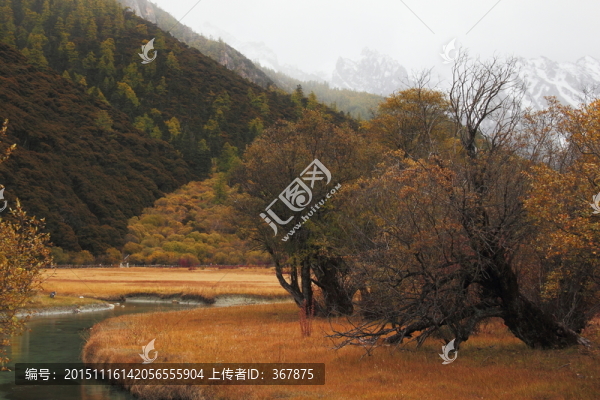 亞丁秋色
