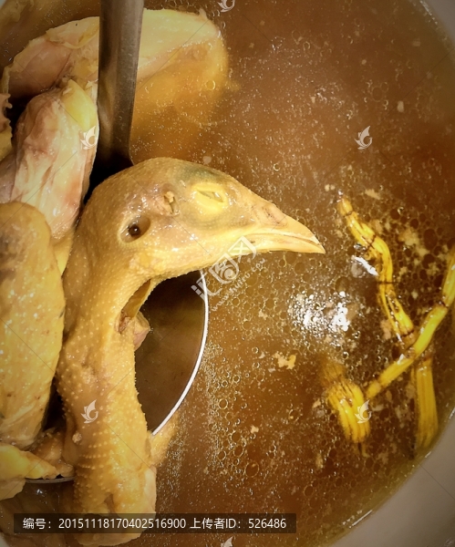 乳鴿菌菇湯
