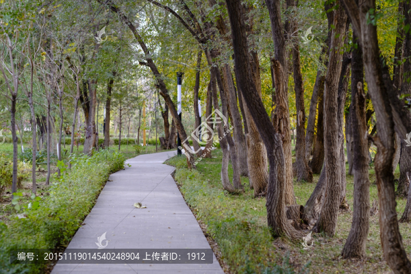 秋天的小路