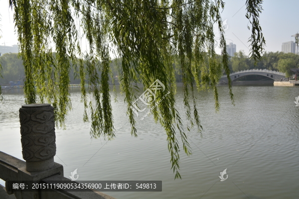 公園