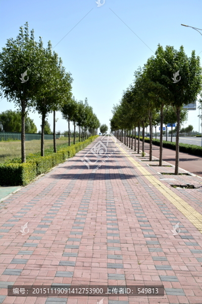 道路