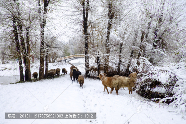 樹林