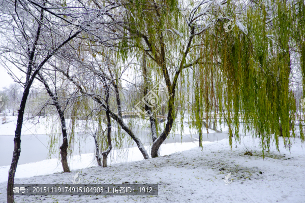 冬雪