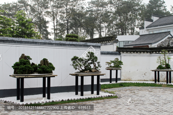 園林盆景藝術(shù)